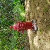 Design Toscano Fire Hydrant Dog's Second Best Friend Garden Art